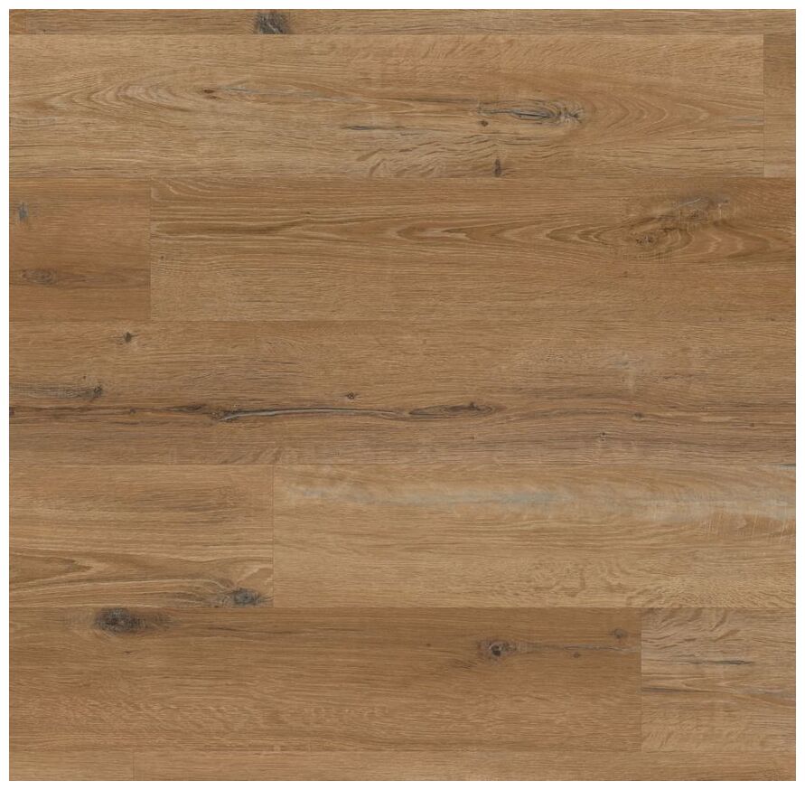 designflooring traditional character oak kp146-7 panel winylowy lvt 17.8x121.9 - zdjęcie główne