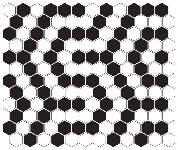 dunin mini hexagon b&w coral mozaika premium mat 26x30 - zdjęcie główne