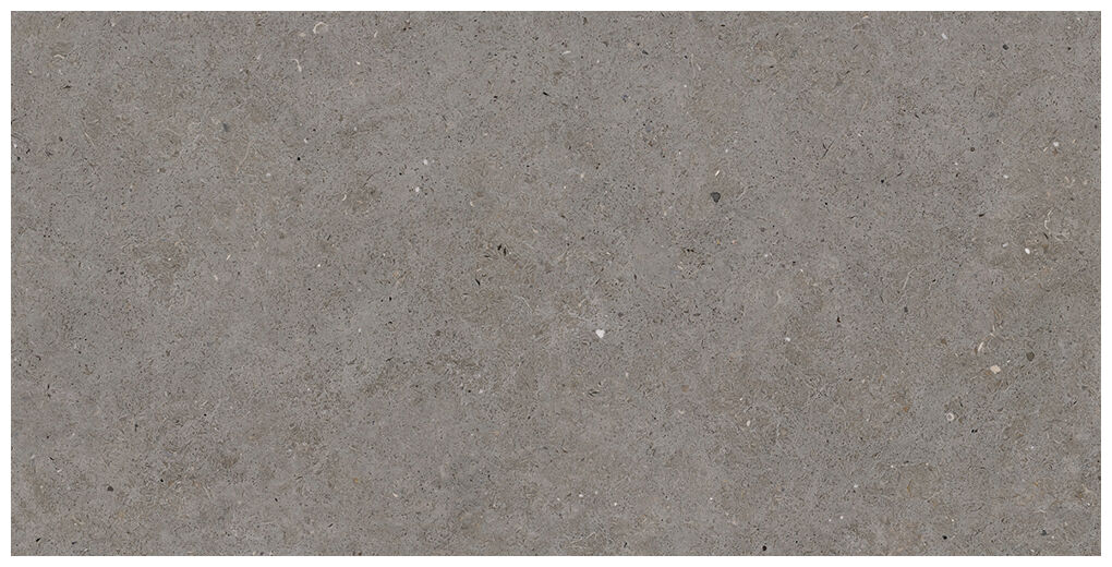Matowy gres Somport Grey 60x120 z szarą kamieniopodobną fakturą o nieregularnym wzorze