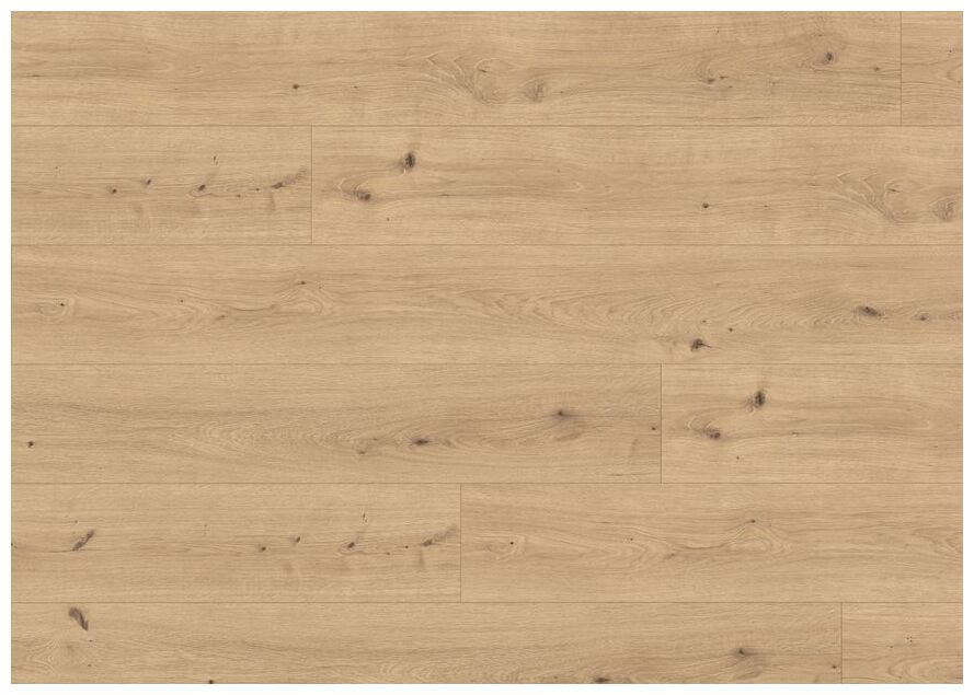 Jasny panel podłogowy Dab Cadiz naturalny EL2136 z widocznymi słojami i subtelną teksturą