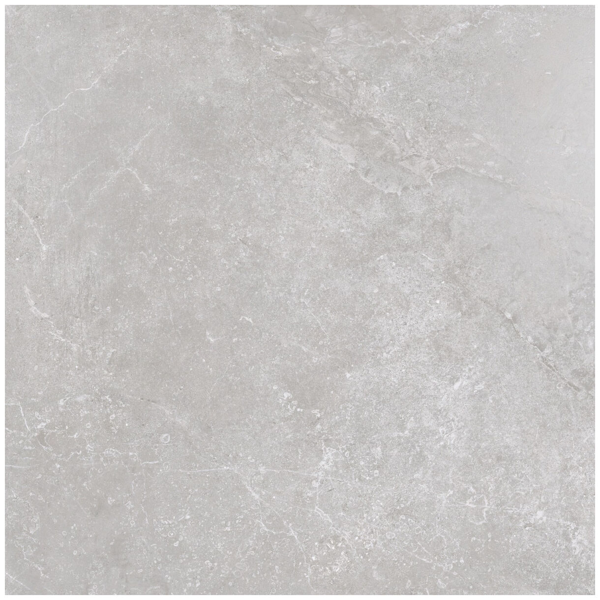 emigres alexia gris gres lappato rektyfikowany 80x80 - zdjęcie główne