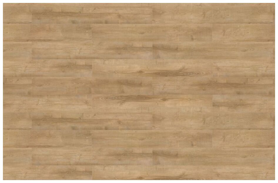 Korner Solid Floor Dąb Amalthea SPC panel winylowy 124x18.2x0.5 (25-Spc-Solid-06)