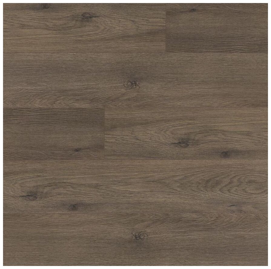 swiss krono dąb adriatyk d3793 panel podłogowy 138x15.9x1 - zdjęcie główne