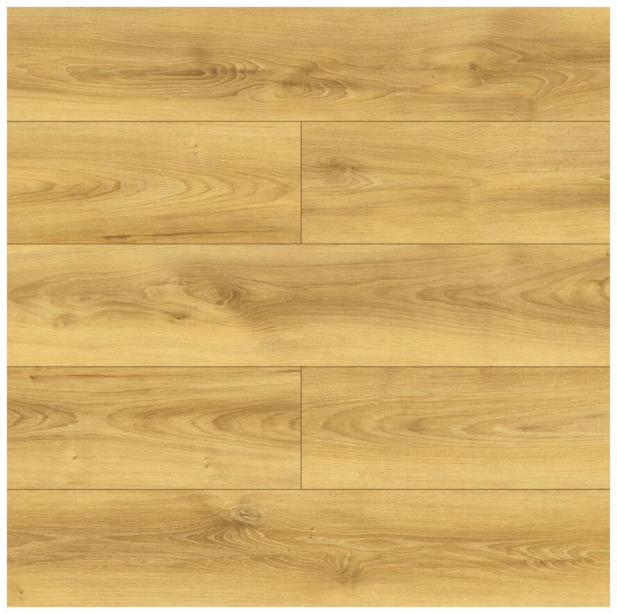 Dab Coletta D40624 panel podłogowy jasny debowy wzor z widocznymi slojami i matowa powierzchnia