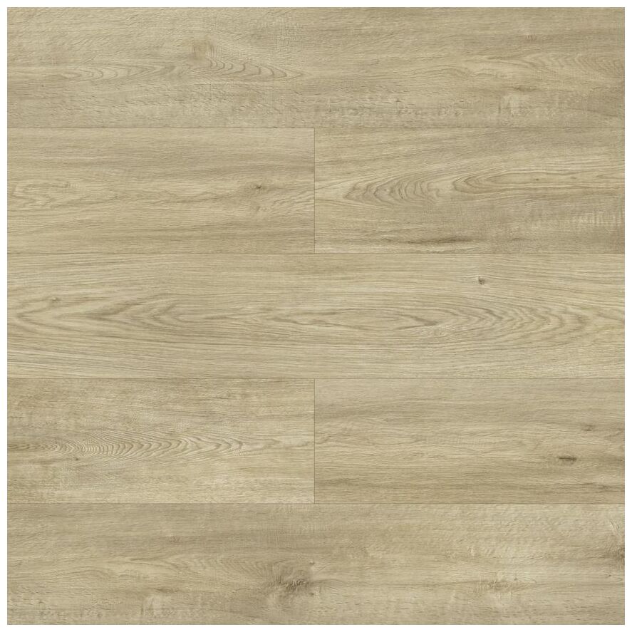 swiss krono dąb galaxy d4592 panel podłogowy 202.5x24.2x1 - zdjęcie główne