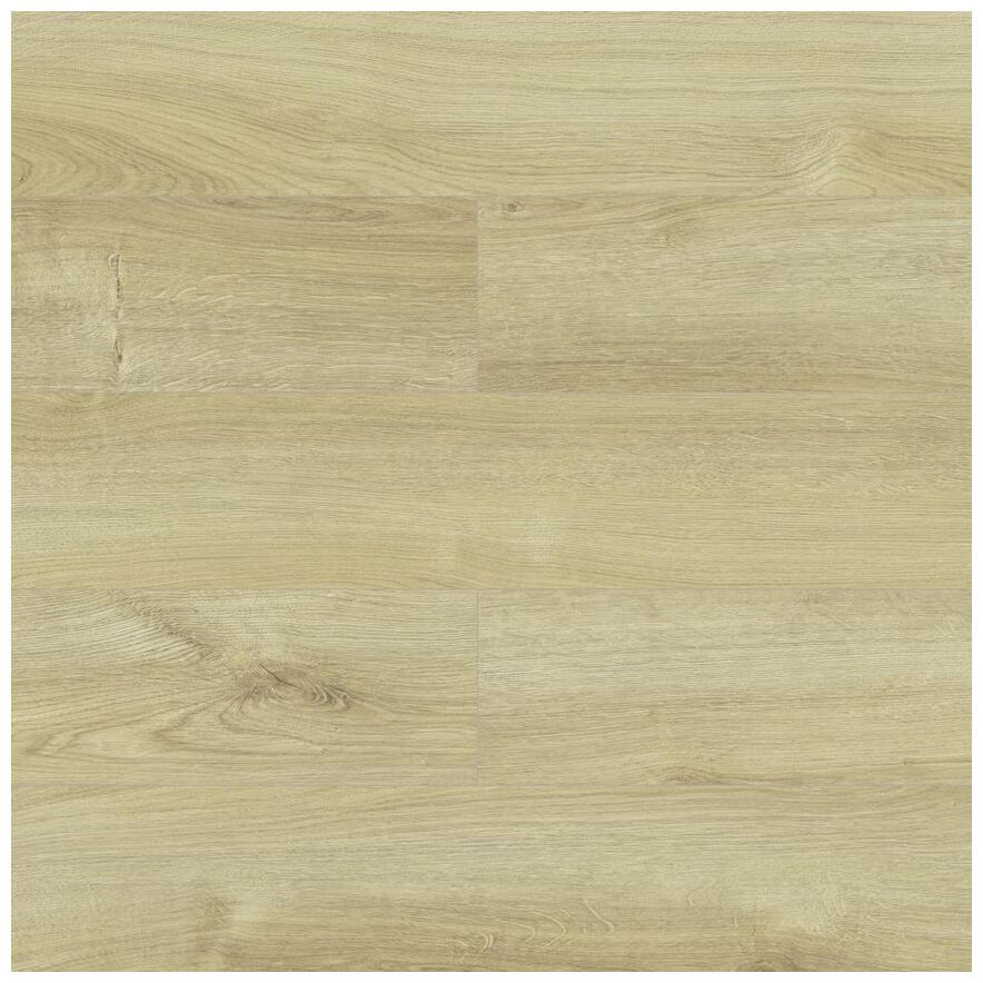 swiss krono dąb honey 40144 panel podłogowy 138x15.7x0.8 - zdjęcie główne