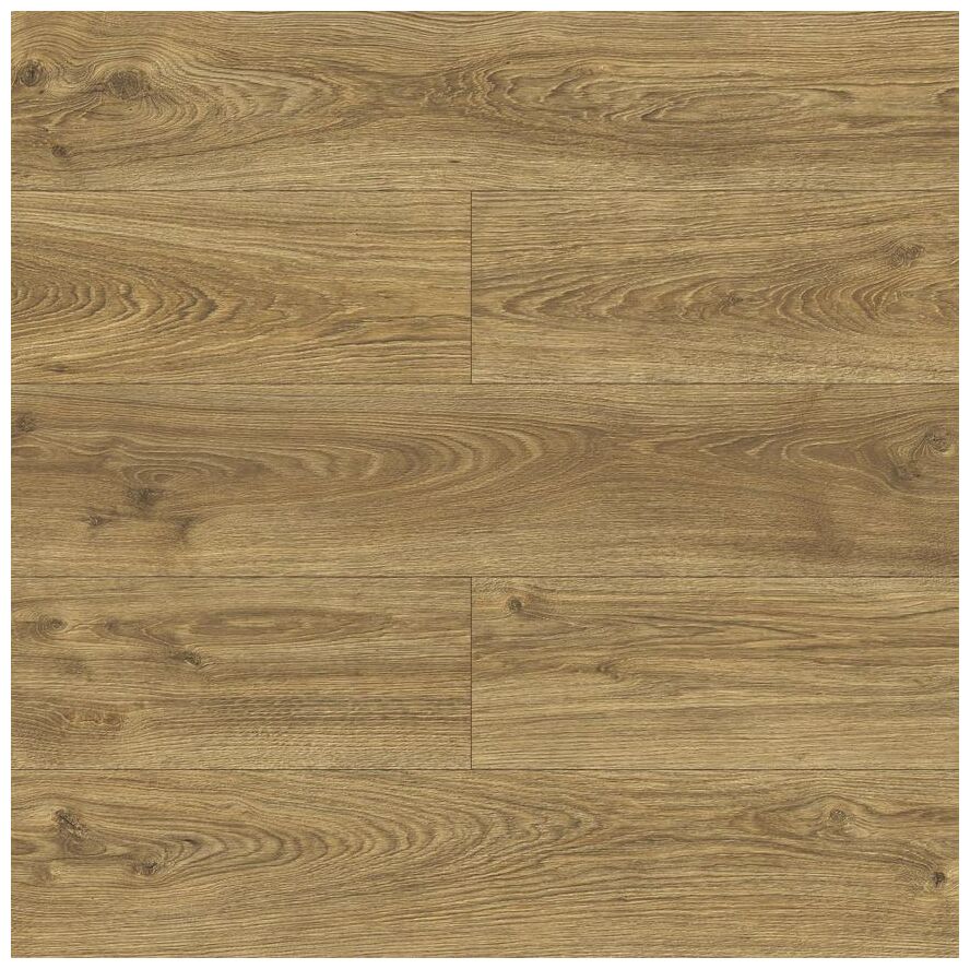 Dąb Urania D40644 panel podłogowy o ciepłym odcieniu z widocznym usłojeniem i sękami