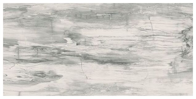 mariner petrified wood white naturale gres rektyfikowany 60x120 - zdjęcie główne