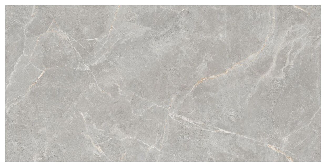 maxibox olivia grey polished 60x120 - zdjęcie główne