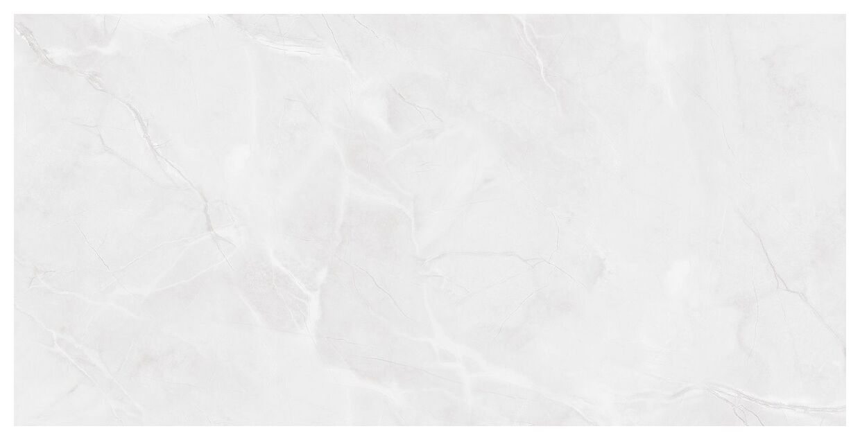 maxibox alaska grey light polished 60x120 - zdjęcie główne