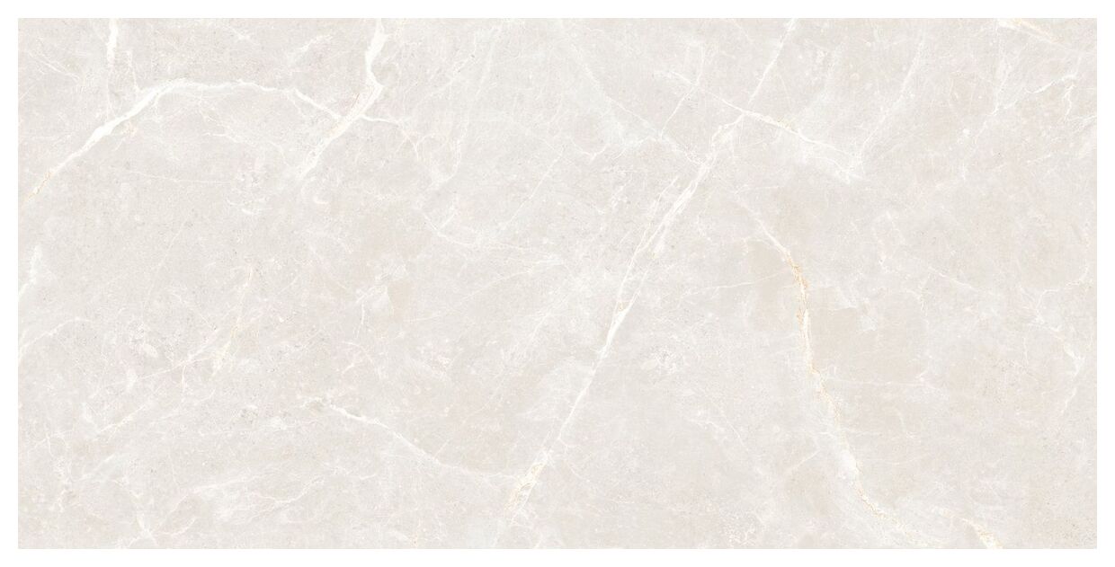 maxibox olivia silver polished 60x120 - zdjęcie główne