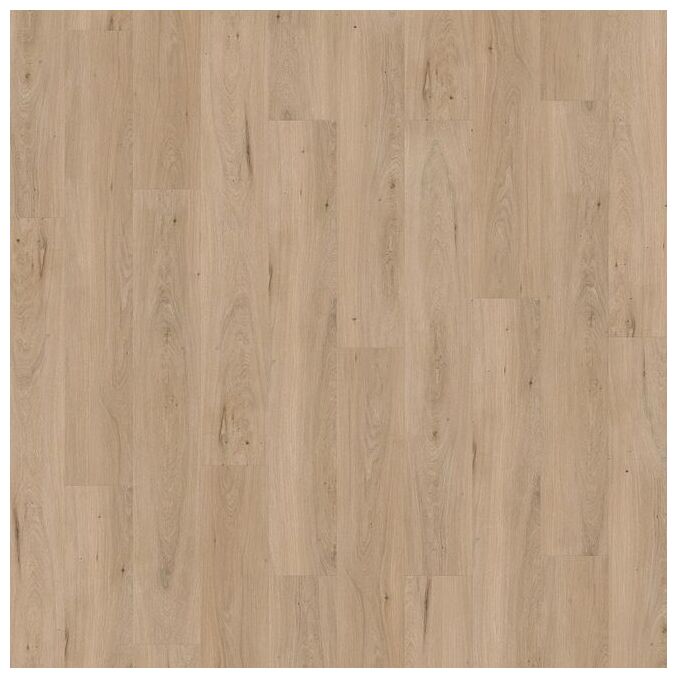 Multicontract Solen Long Plank na Klej Mg-003 panel winylowy 152.4x22.8x0.6