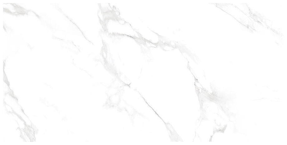 netto acropol white gres poler rektyfikowany 60x120 - zdjęcie główne