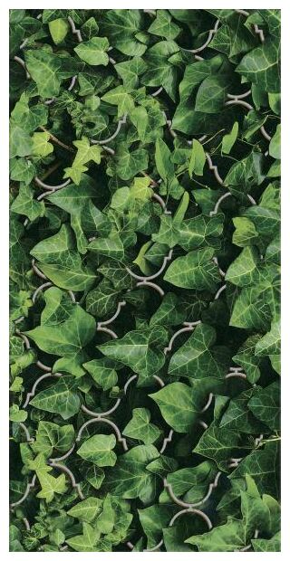 paradyż dream uniwersalny dekor szklany 30x60 - zdjęcie główne