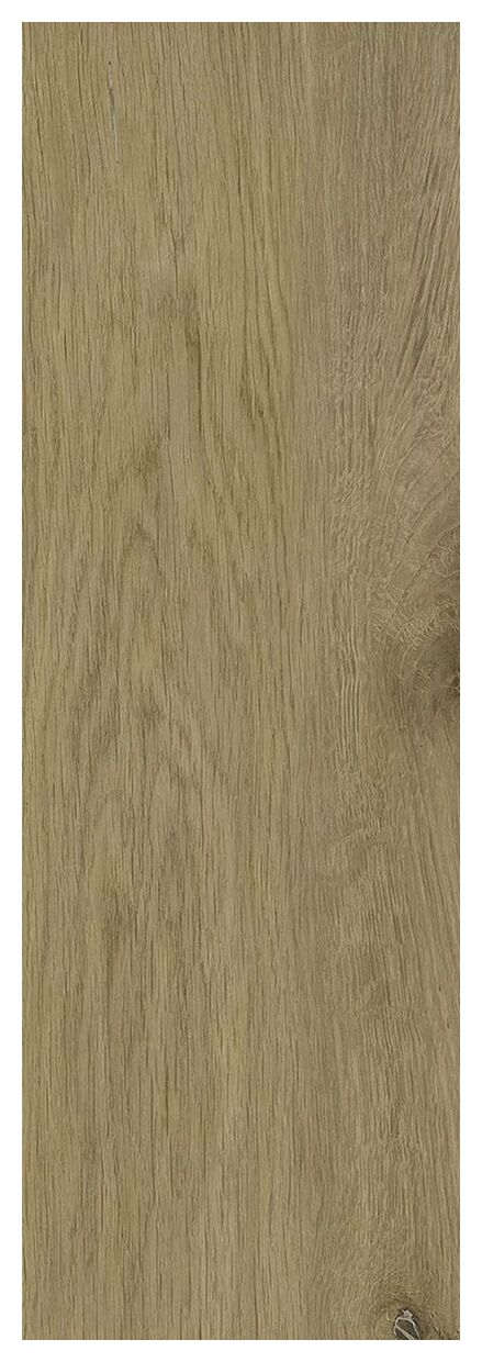 paradyż decorwood honey struktura mat gres 20x60x0.8 - zdjęcie główne