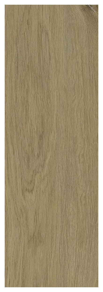 paradyż decorwood honey struktura mat gres 20x60x0.8 - zdjęcie nr: 2