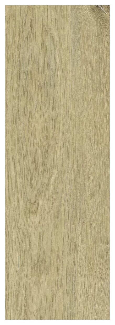 paradyż decorwood crema struktura mat gres 20x60x0.72 - zdjęcie nr: 5
