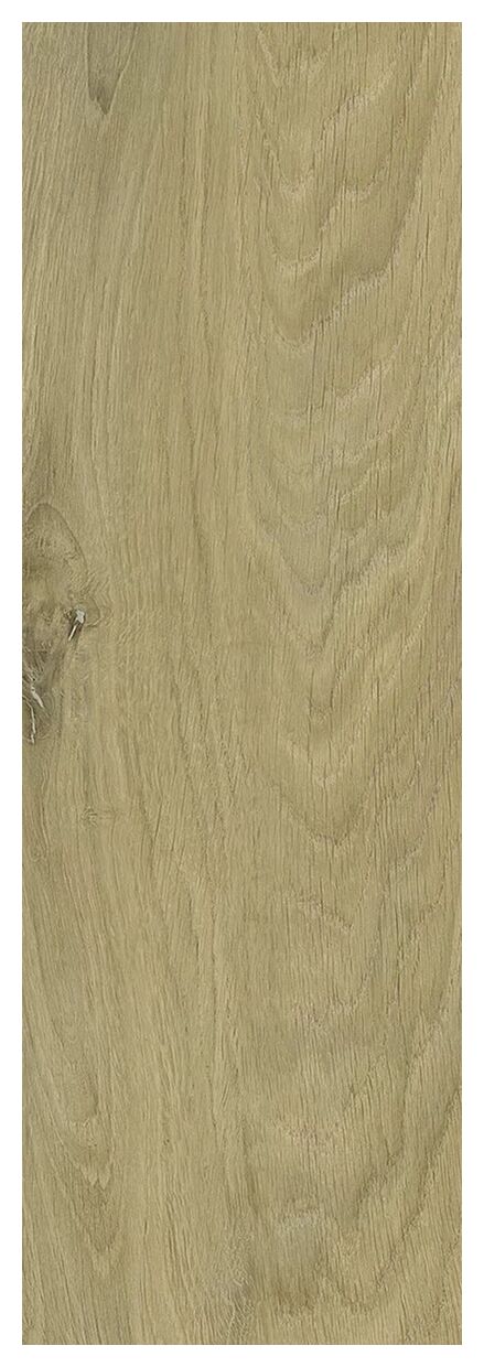 paradyż decorwood gold struktura mat gres 20x60x0.8 - zdjęcie nr: 4