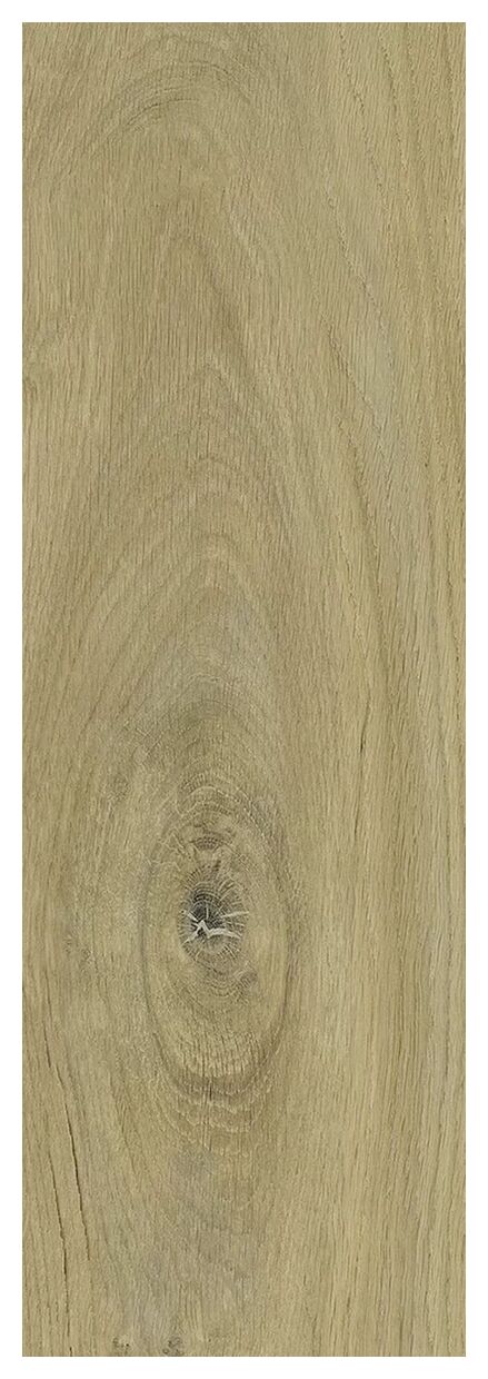 paradyż decorwood gold struktura mat gres 20x60x0.8 - zdjęcie nr: 6