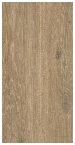 paradyż ideal wood natural płytka ścienna 30x60 - zdjęcie nr: 2