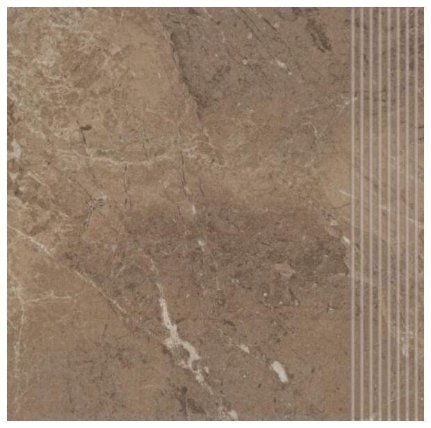 paradyż track brown mat stopnica prosta 30x30x0.78 - zdjęcie główne