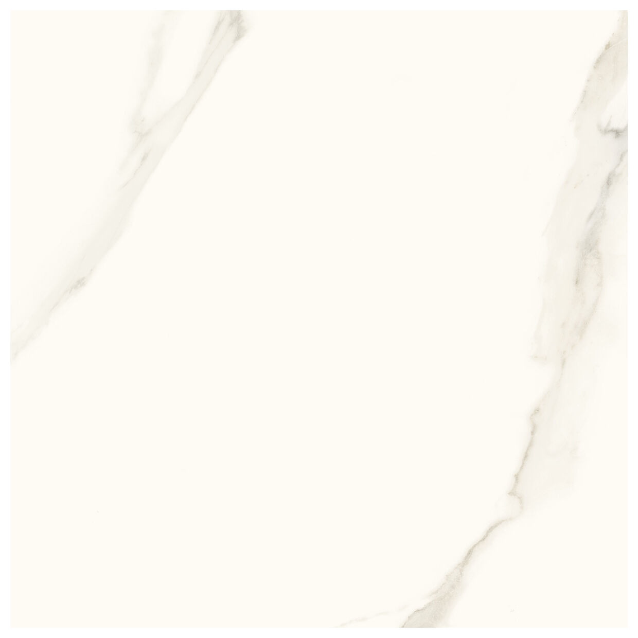 paradyż calacatta gres poler rektyfikowany 59.8x59.8 - zdjęcie główne