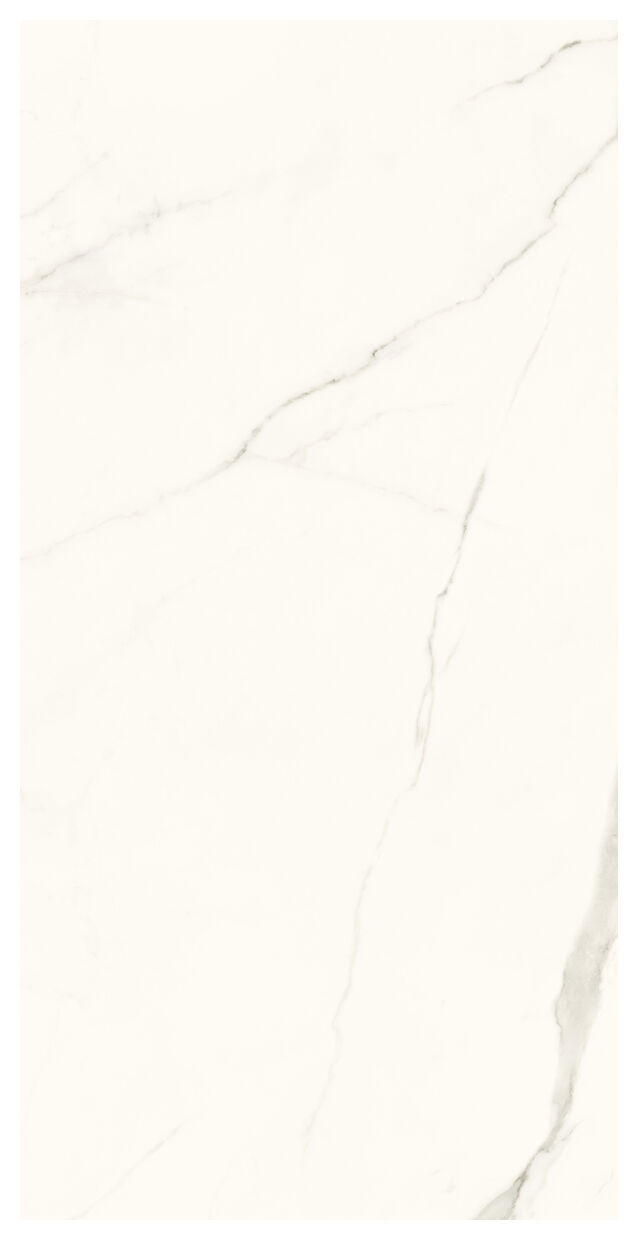 paradyż calacatta gres poler rektyfikowany 59.8x119.8 - zdjęcie główne