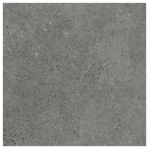 Authority Graphite mat gres z efektem betonu w odcieniu chłodnej szarości 59,8x59,8 cm