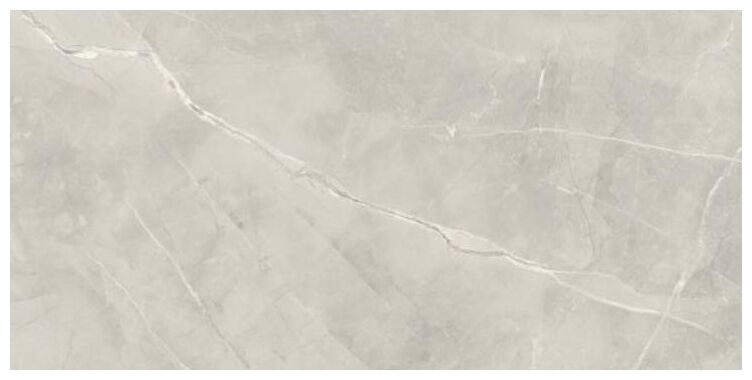 paradyż ritual light grey gres mat rektyfikowany 59.8x119.8 - zdjęcie główne