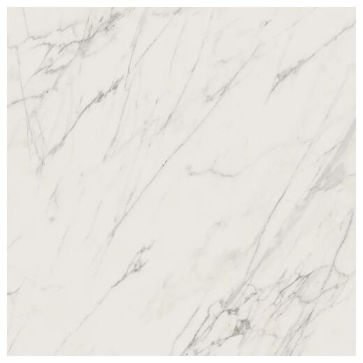 paradyż elite white poler gres rektyfikowany 59.8x59.8 - zdjęcie nr: 2