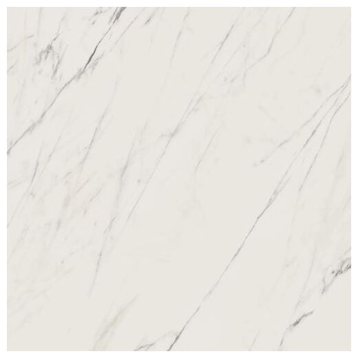 paradyż elite white poler gres rektyfikowany 59.8x59.8 - zdjęcie nr: 5