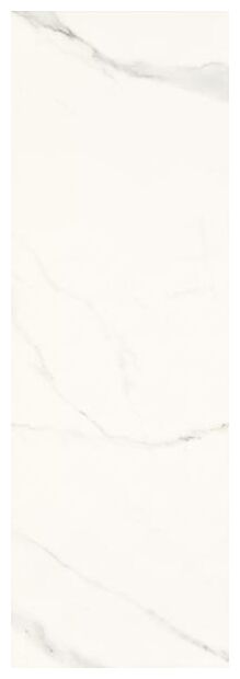 paradyż livia bianco płytka ścienna 25x75 - zdjęcie główne