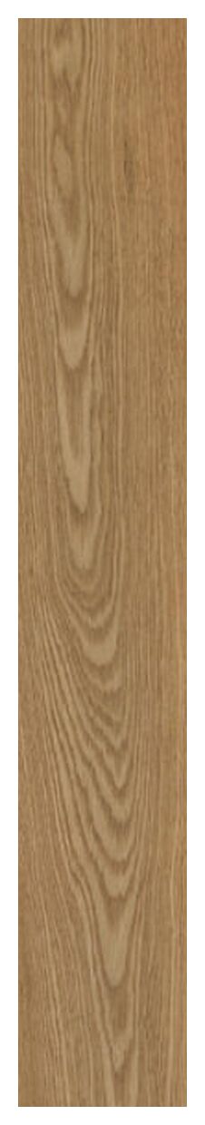 paradyż trueland gold gres mat rektyfikowany 19.8x119.8x0.9 - zdjęcie główne