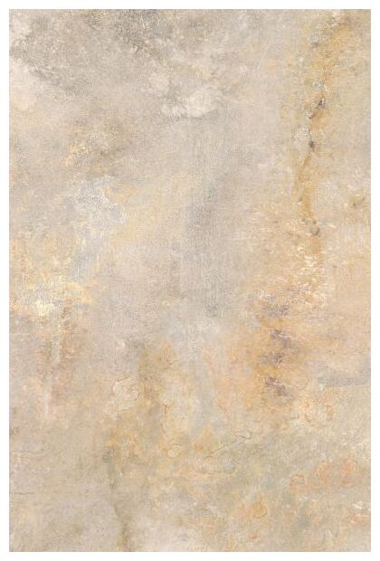 paradyż burlington ivory płyta tarasowa gres str rektyfikowany 59.5x89.5x2 - zdjęcie główne