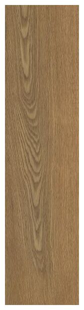 paradyż trueland 2.0 honey str płyta tarasowa 29.5x119.5 - zdjęcie główne