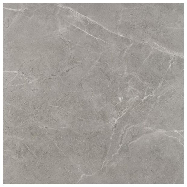 paradyż ibis grys gres mat 60x60 - zdjęcie główne