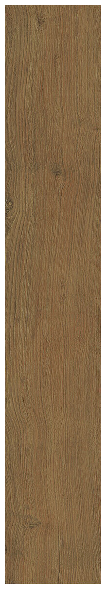 Matowy gres Essence NUT imitujący drewno w ciepłym brązie z widocznymi słojami i sękami - zdjęcie nr: 6