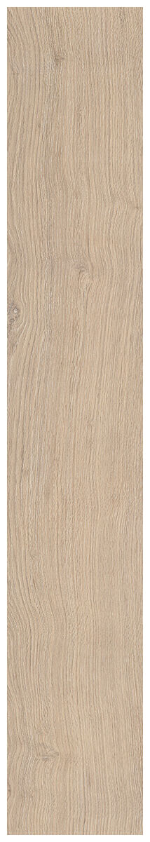 peronda essence taupe gres rektyfikowany 19.5x121 (39142) - zdjęcie nr: 5