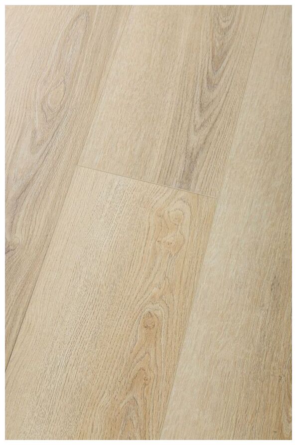 premium floor dąb epicki 99234 panel winylowy 153.2x19.2x0.6 - zdjęcie nr: 2
