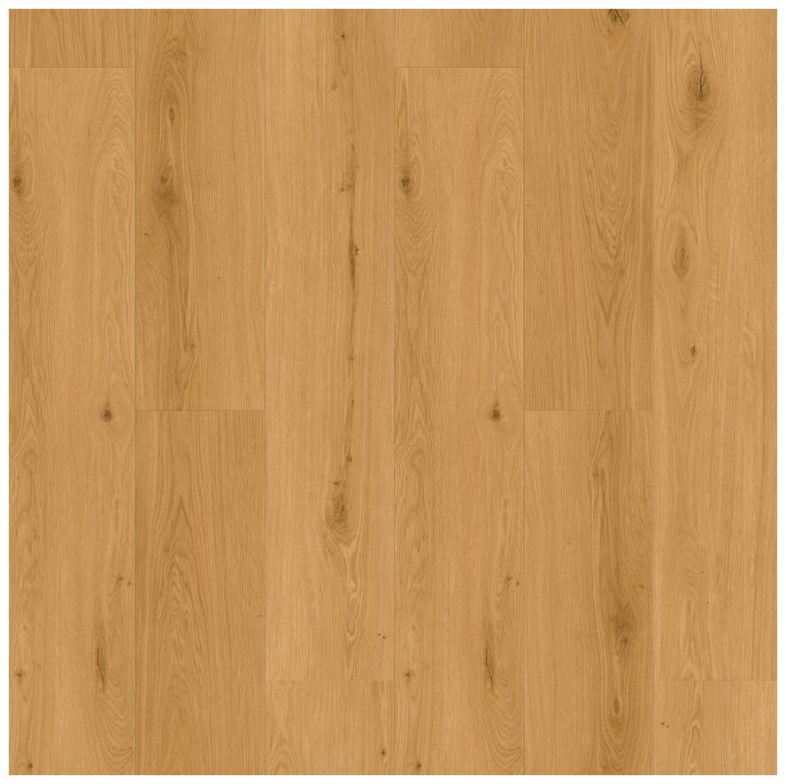 Dab Vision 99910 panel winylowy z jasnym odcieniem dębu widocznym na matowej powierzchni