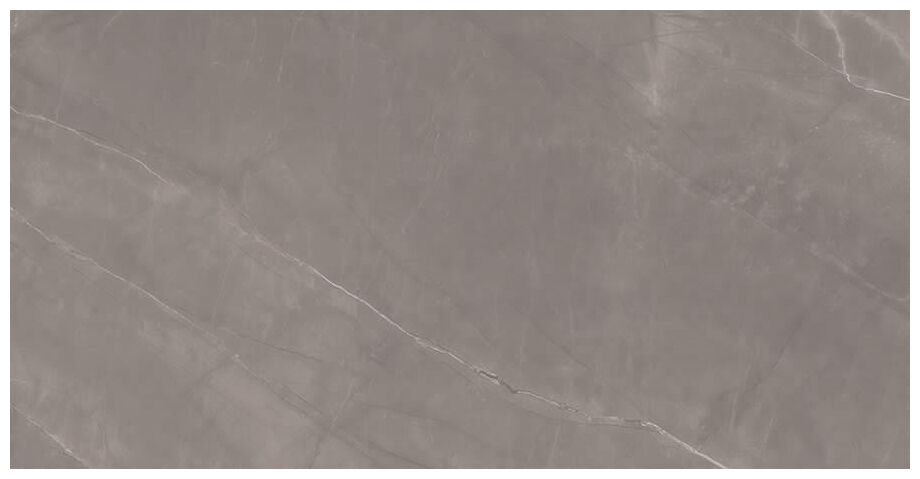 proceramica armani silver gres poler rektyfikowany 60x120 - zdjęcie główne