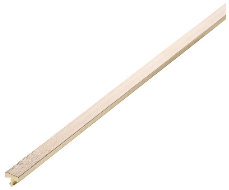 profil design pd gold szczotka t10 licowana 10 mm listwa podłogowa 270 cm - zdjęcie główne