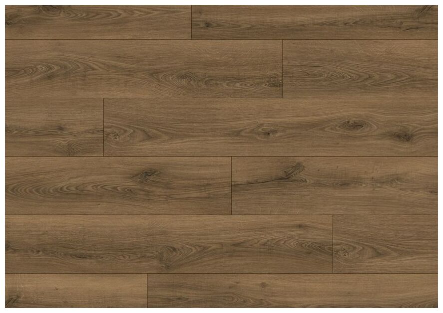 Classic Dab Cieply brązowy CLM5789 deski w cieplym brązowym odcieniu z naturalnym rysunkiem drewna