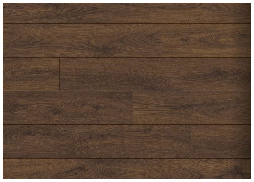 Panel podłogowy Classic Dab Orzech brązowy CLM5800 z wyraźnym usłojeniem i matowym wykończeniem