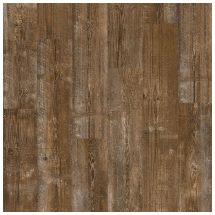 quickstep sosna sundown avmpu40075 panel winylowy z zintergrowanym podkładem 149.4x20.9x0.6 