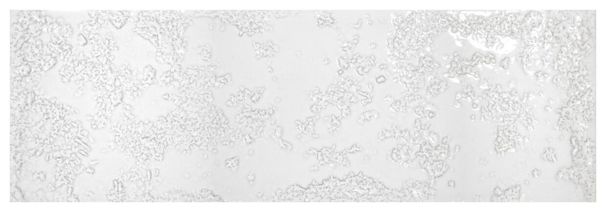 realonda kamado white glossy gres 15x45 - zdjęcie główne