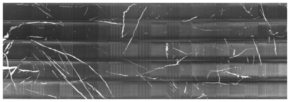 realonda shell marquina płytka ścienna 40x120 - zdjęcie główne