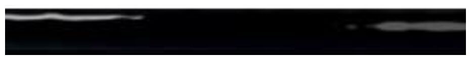 ribesalbes ocean black listwa 2.5x30 
