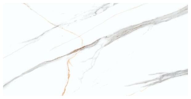 tiles ceramic marble albatros carving 60x120 (01636) - zdjęcie główne