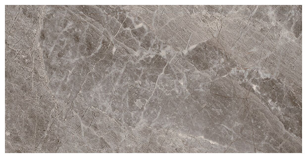 vives flysch-r gris gres rektyfikowany 59.3x119.3 - zdjęcie główne